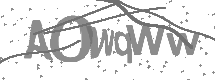 visual captcha